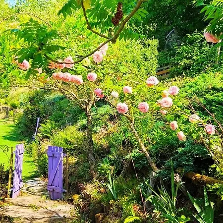 Le Refuge Des Bois Tiny Au Coeur Des Vosges Appartamento *