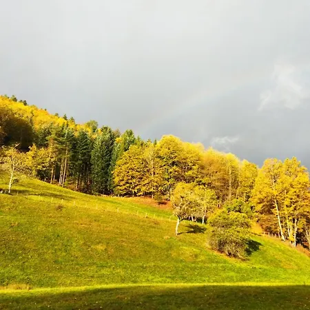 Appartamento Le Refuge Des Bois Tiny Au Coeur Des Vosges *