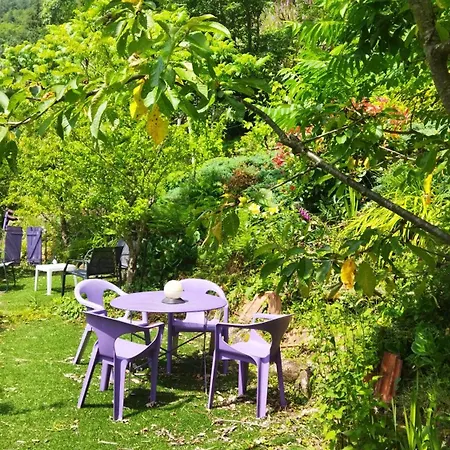 Le Refuge Des Bois Tiny Au Coeur Des Vosges *