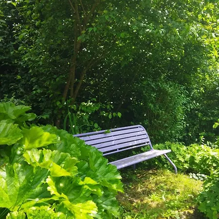 Le Refuge Des Bois Tiny Au Coeur Des Vosges * Lalaye