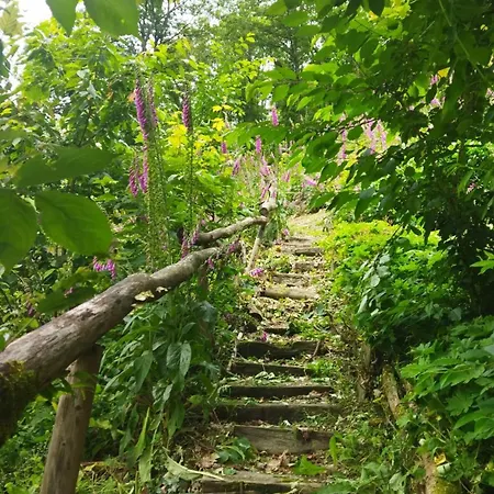 Appartamento Le Refuge Des Bois Tiny Au Coeur Des Vosges *