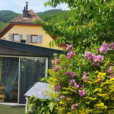 Le Refuge Des Bois Tiny Au Coeur Des Vosges Appartamento