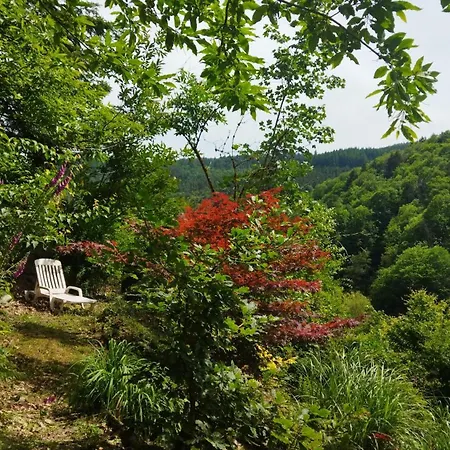 Le Refuge Des Bois Tiny Au Coeur Des Vosges