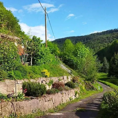 Appartamento Le Refuge Des Bois Tiny Au Coeur Des Vosges