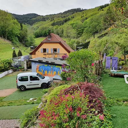 Le Refuge Des Bois Tiny Au Coeur Des Vosges Lalaye